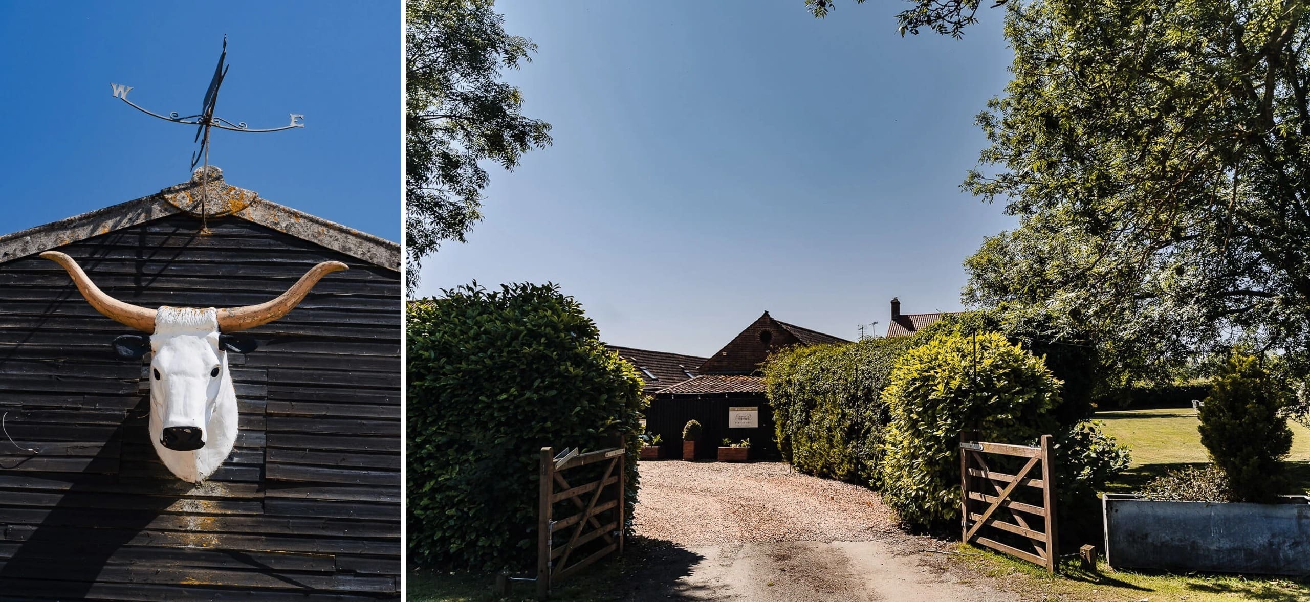 A taxidermied longhorn skull with curved horns mounted on a dark wooden barn wall beneath a weathervane. — Wedding at Hunters Hall, Norfolk