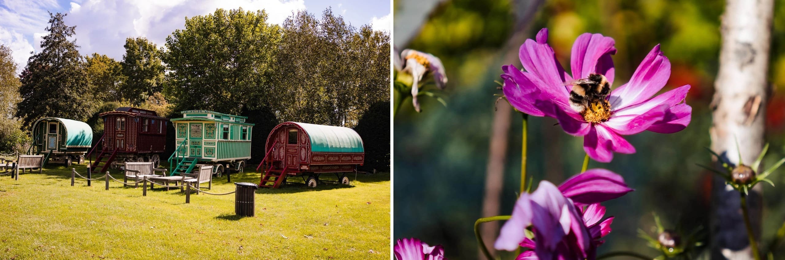 Colorful vintage caravans and wagons displayed in a grassy park setting with trees in background. — Wedding at South Farm, Cambridgeshire